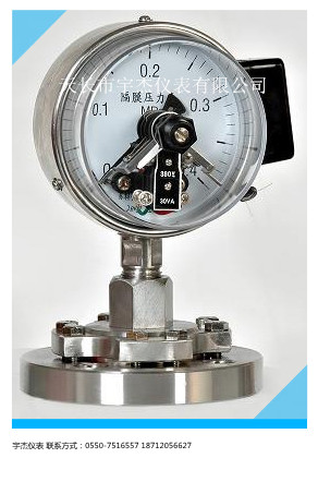 衛生型隔膜壓力表